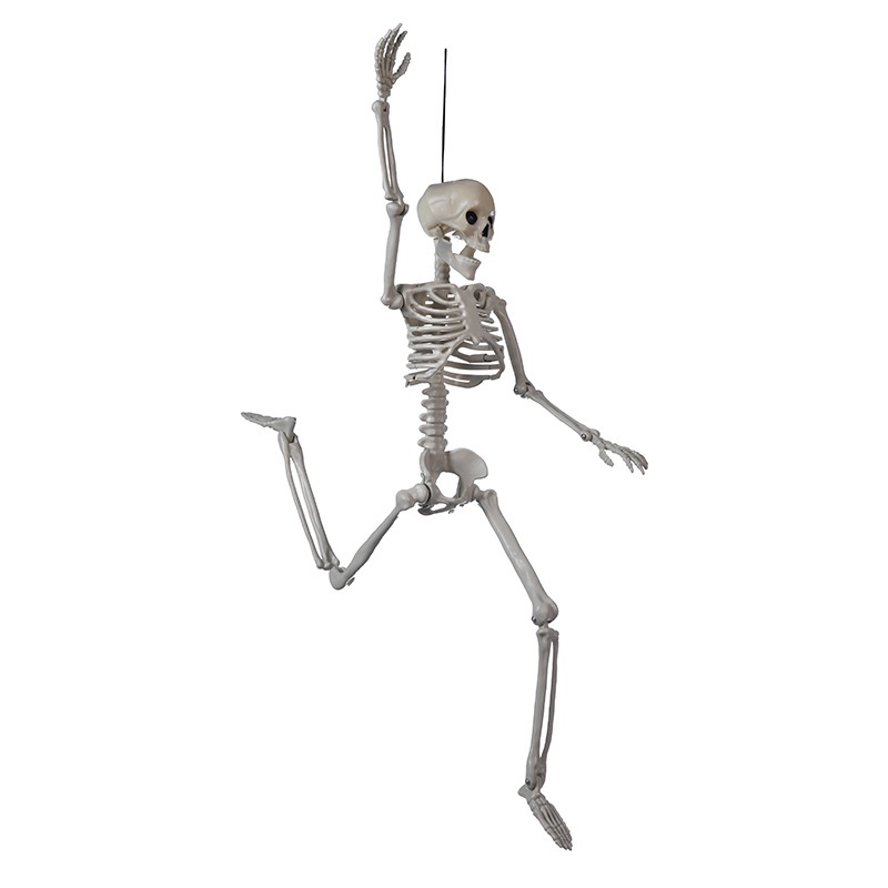 Bộ Xương Người Bằng Nhựa 60cm Trang Trí Halloween