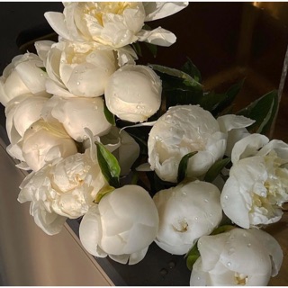 Quần_áo_thể_thao-Túi_đeo_chéo