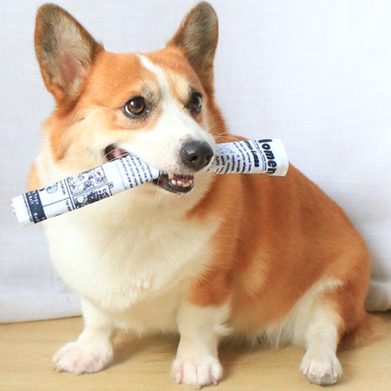 Đồ Chơi Nhai Gặm Tương Tác Hình Tờ Báo Cỡ Nhỏ / Vừa / Nhỏ Độc Đáo