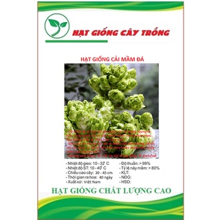 Hạt giống rau cải mầm đá sapa ct339 - gói 20 hạt