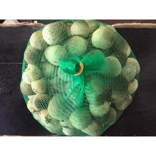 Nấm Rơm Việt Nam