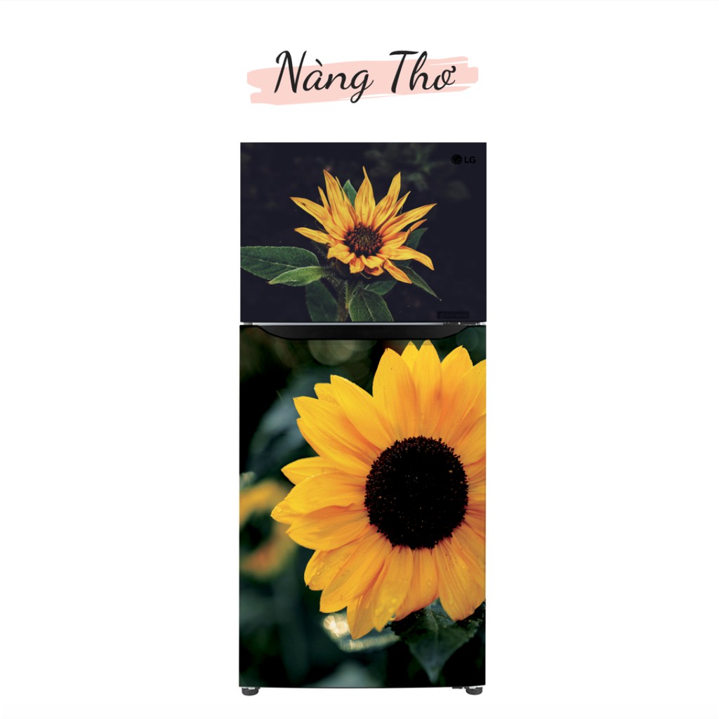 HÌNH HOA HƯỚNG DƯƠNG DÁN TỦ LẠNH NHIỀU KÍCH THƯỚC_THIẾT KẾ NÀNG THƠ