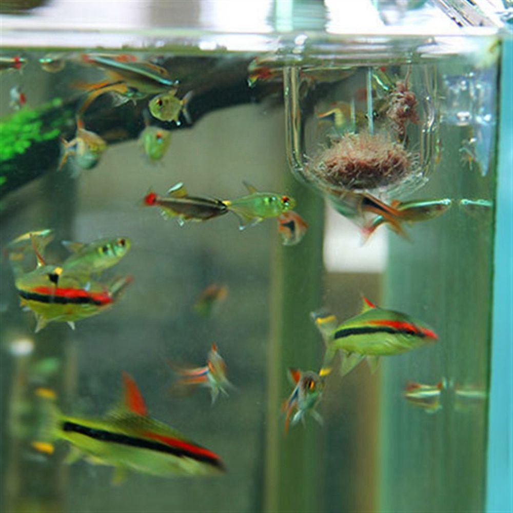 Cây Giả Mini Trang Trí Bể Cá