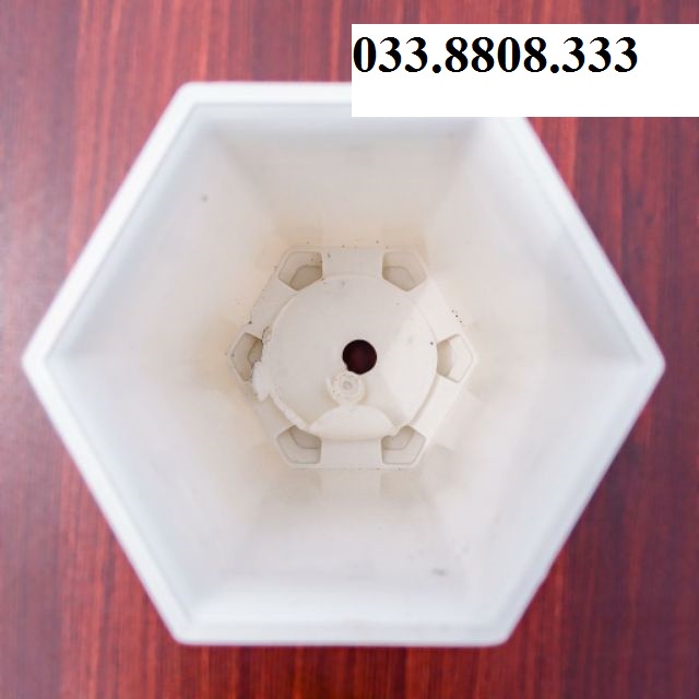 Combo 10 Chậu Nhựa Lục Giác Màu Trắng Bonsai  200x120 trồng hoa cây cảnh