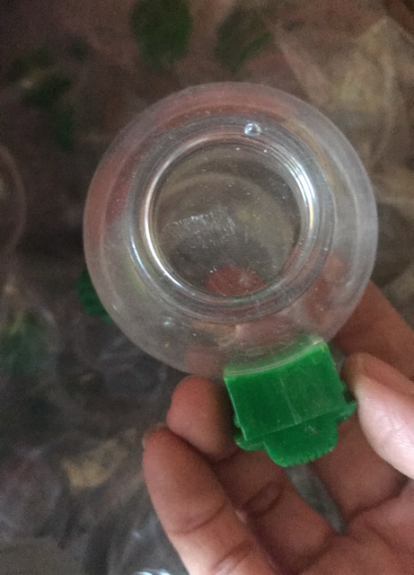 Cóng nhựa quai xanh đựng cám cho chim