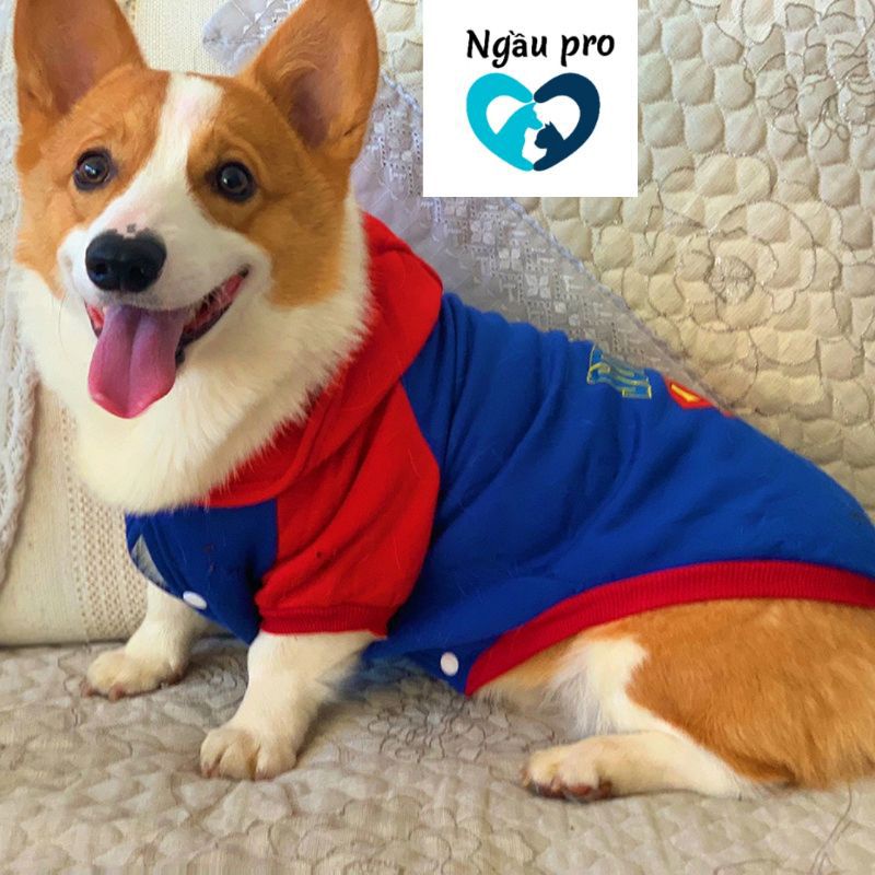 Áo cho chó size lớn thu đông chất nỉ ấm, Quần áo thú cưng chó GOLDEN HUSKY ALASKA giống to cân nặng từ 1kg đến 45kg APET