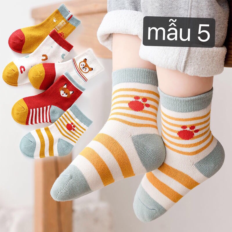 Sét 5 đôi tất cotton không xù cho bé trai , bé gái từ 1-10 tuổi