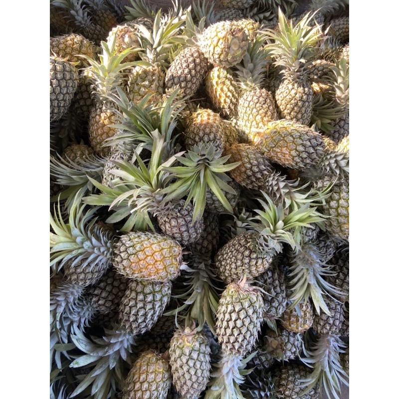 Dứa sấy khô 1kg