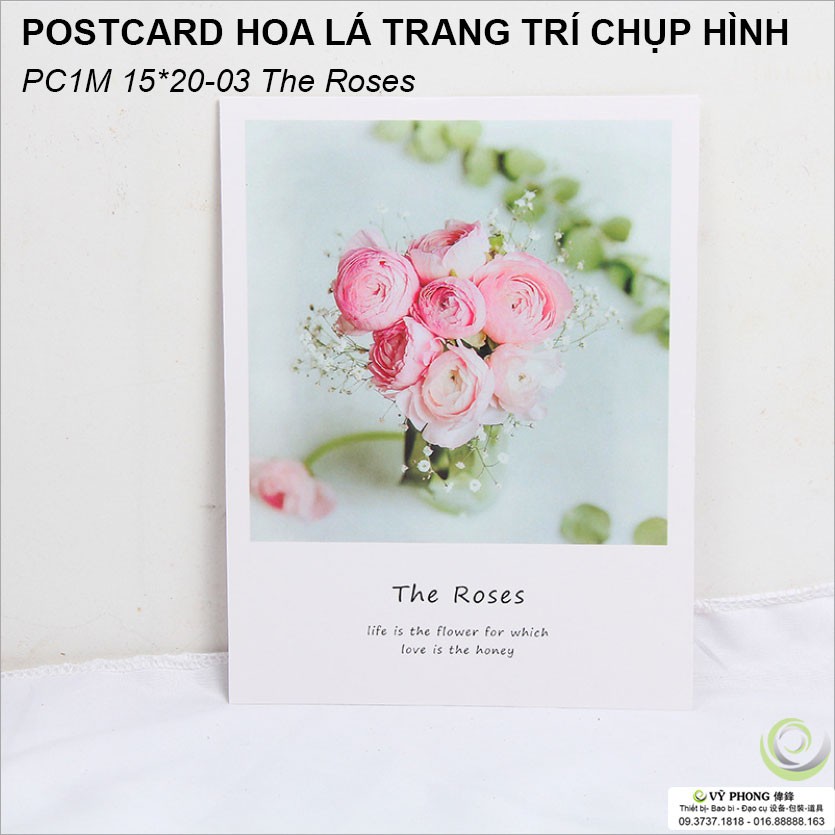 THIỆP CHỤP ẢNH POSTER 1 MẶT 15x20cm Phụ Kiện Trang Trí Chụp Ảnh Sản Phẩm PC1M15x20-01~9