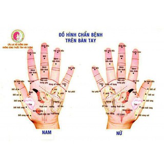 Dụng Cụ Diện Chẩn Con bọ lớn