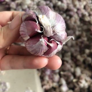 Tỏi tím 1kg