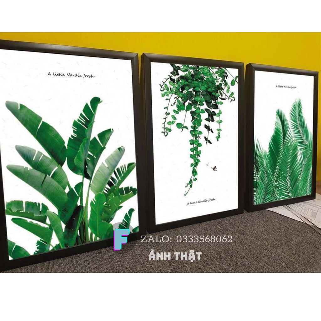 Tranh Treo Tường canvas, Tranh treo phòng khách,phòng ngủ, cầu thang đẹp⚡FREE SHIP⚡ Mẫu lá cây, tone xanh