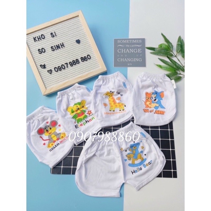 Quần ngắn cotton lai cua dạng thể thao cho bé 3-12kg