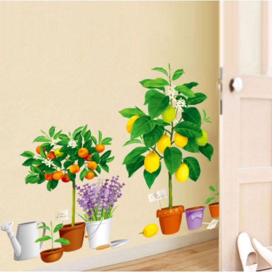 Decal trang trí tường - Những chậu cây ăn quả