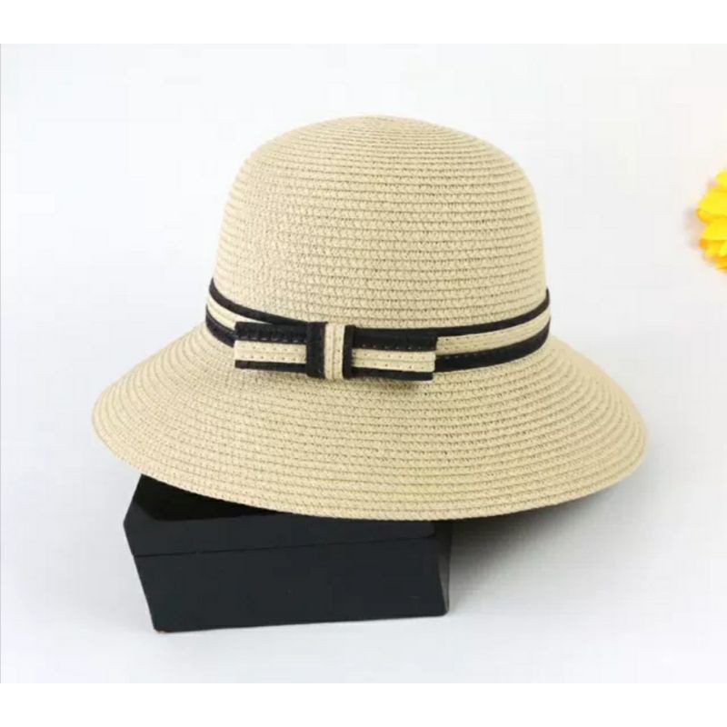 Mũ rộng vành đi biển