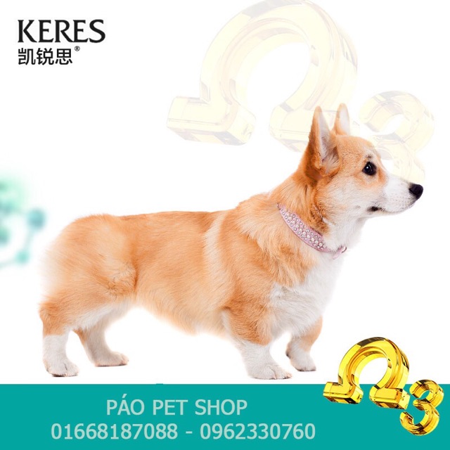 Thức ăn hạt Keres cho chó Corgi túi 2kg