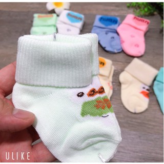 Set 2 đôi tất sơ sinh (0-3m)