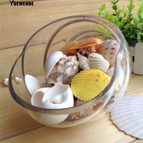 Vỏ ốc biển dùng trang trí bể cá độc đáo