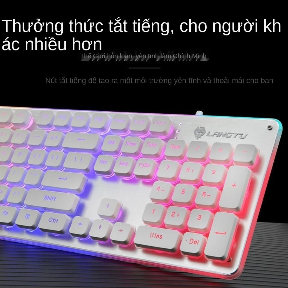 Langtu bàn phím im lặng sô cô la trò chơi có dây thao tác và chuột bộ máy tính xách tay phát sáng văn phòng | BigBuy360 - bigbuy360.vn