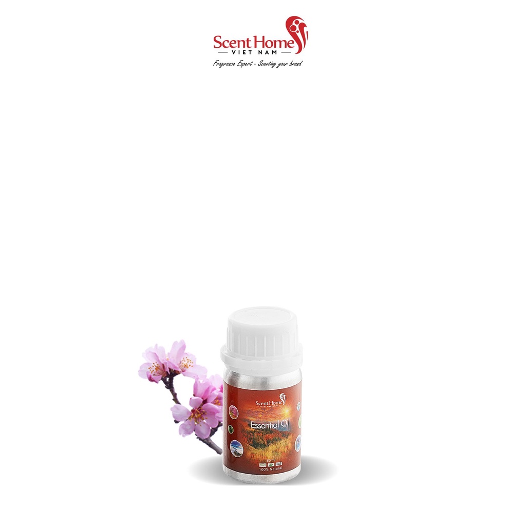 Chính hãng] Tinh dầu ScentHomes - Cherry Blossom (Hoa Anh Đào - 50ml, 100ml, 250ml)