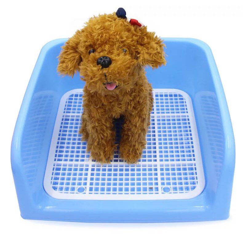 Khay vệ sinh chó mèo thành cao ( 40x40x15cm) - Phụ kiện thú cưng