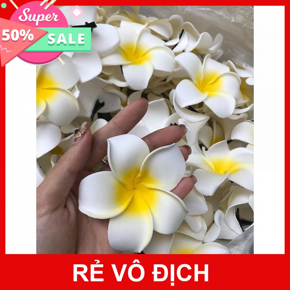 [Hot]-[ Siêu Khuyến Mại] - Hoa Đại Cài Tóc Set 2 Bông