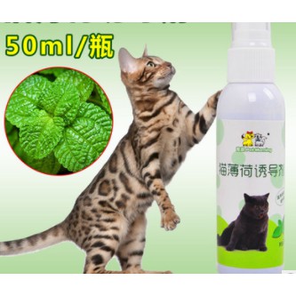CATNIP CHO MÈO DẠNG XỊT
