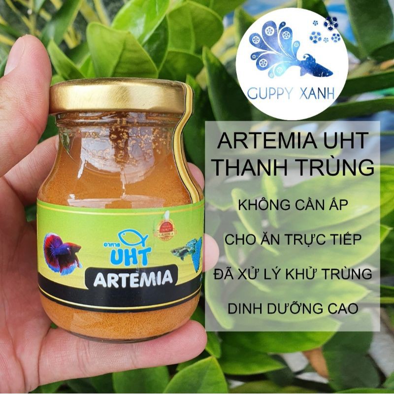 Artemia Khử Trùng UHT Thái Lan - Ấp nở sẵn cho ăn trực tiếp - Guppyxanh