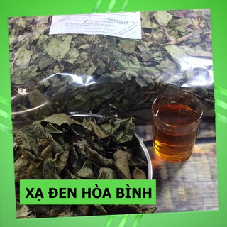 Cây Xạ Đen Rừng ( Xạ Đen Hòa Bình )