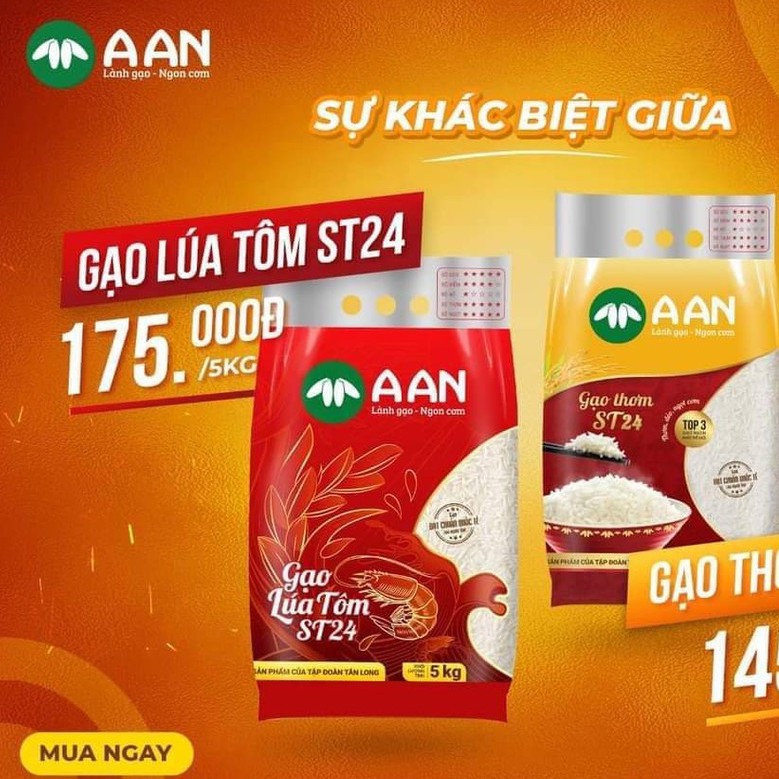 [DATE MỚI] Gạo Thơm ST24 A AN Túi 5Kg Đặc sản Sóc Trăng