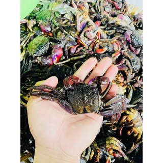 MẮM BA KHÍA TỎI ỚT 1kg