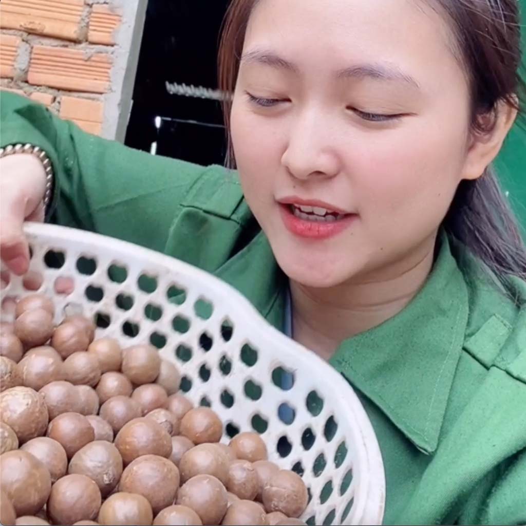 Hạt Macca nứt vỏ Organic Daklak giòn tan không hôi dầu kèm tách vỏ túi zip 1kg từ mắc ca Trang Ở Daklak