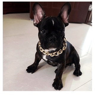 Vòng Cổ Cho Chó Mèo Mạ Vàng Siêu Sang Chảnh Siêu Ngầu - Vòng Xích Vàng Gangster Cho Thú Cưng - Heropet