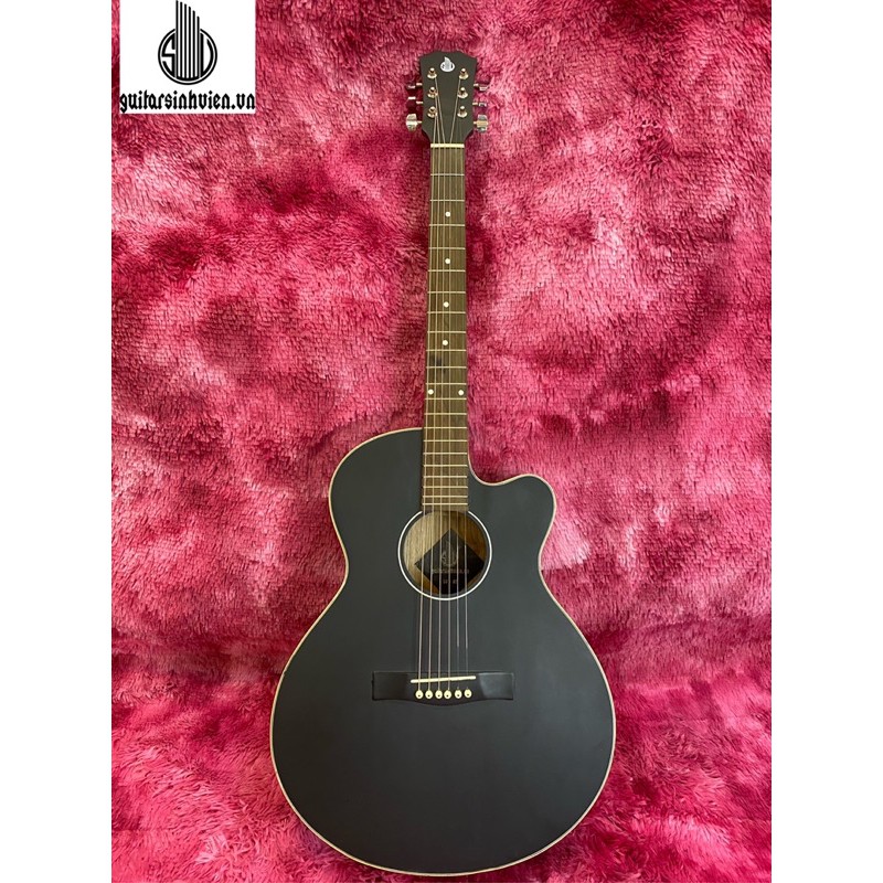 GUITAR CÓ TY CHỈNH CẦN GIÁ CỰC TỐT CHO NGƯỜI MỚI TẬP CHƠI - ĐÀN GUITAR TẬP CHƠI GIÁ RẺ - GUITARSINHVIEN _ Guitar rẻ