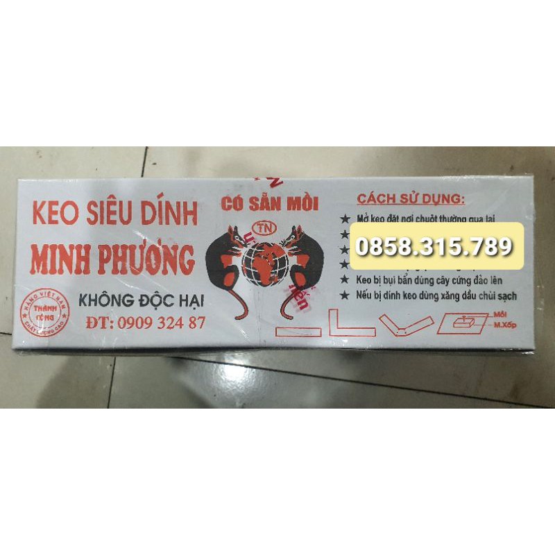 12 chiếc keo dính chuột Minh Phương - Minh Hiến