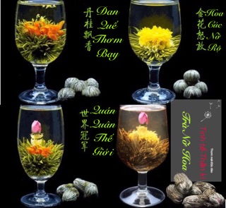Trà Nở Hoa 16 bông