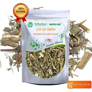 [Hàng Công Ty] Cây hy thiêm thảo sấy khô 500g (thơm, sạch), Cây cỏ đĩ - Giảm đau nhức xương khớp, Ngủ ngon