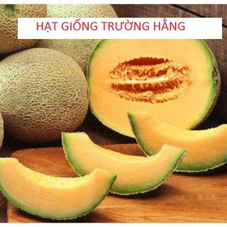 Hạt giống Dưa Lưới Tròn 10 Hạt