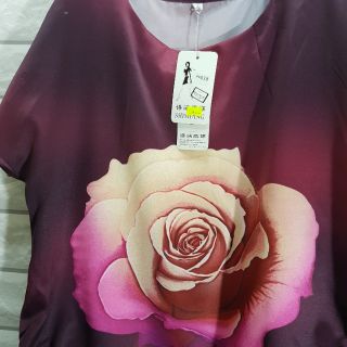 Hàng nhập Áo lụa tô châu fom rộng