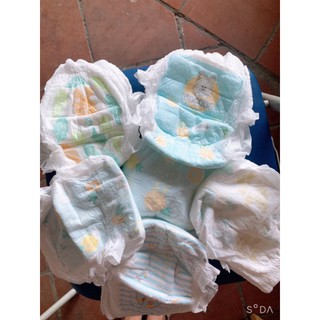 100 Tả quần trần hana M/L/XL/XXL/XXXL