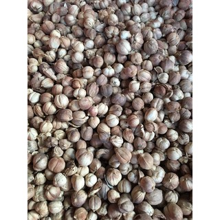 Bạch đậu khấu (Gói 10g)