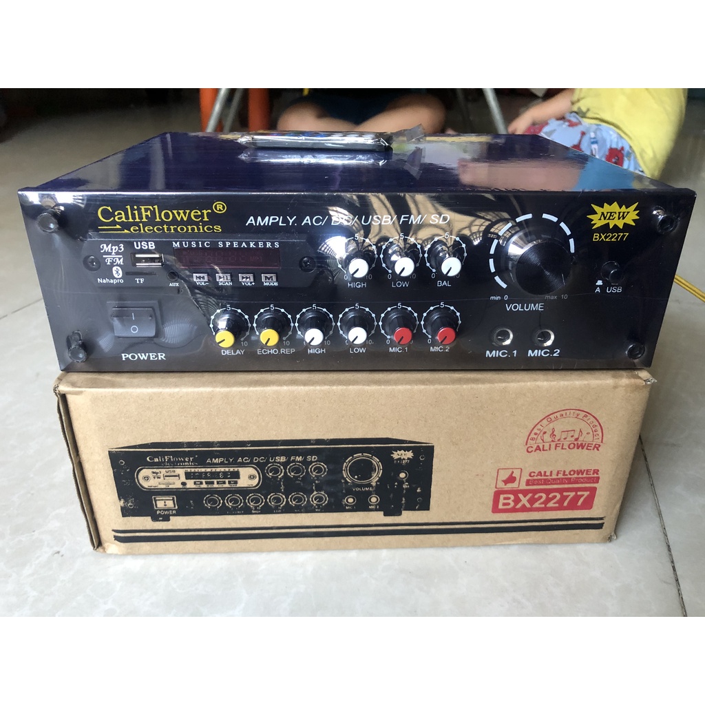 AMPLY KARAOKE MINI DC 12V USB - CALIPLOWER