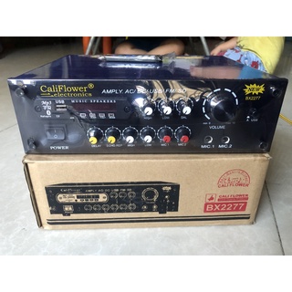 AMPLY KARAOKE MINI DC 12V USB - CALIPLOWER