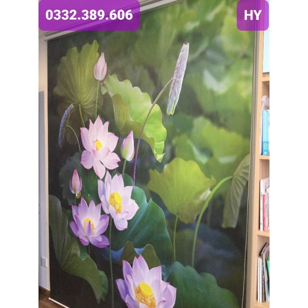 Rèm cuốn in tranh Hàn Quốc; Rèm trang trí!