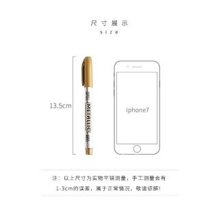 (Hình thật) Bút lông màu bạc/vàng