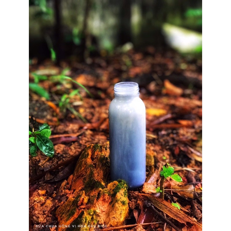 Men sữa chua thuần chay hạnh phúc/Men làm sữa chua | BigBuy360 - bigbuy360.vn