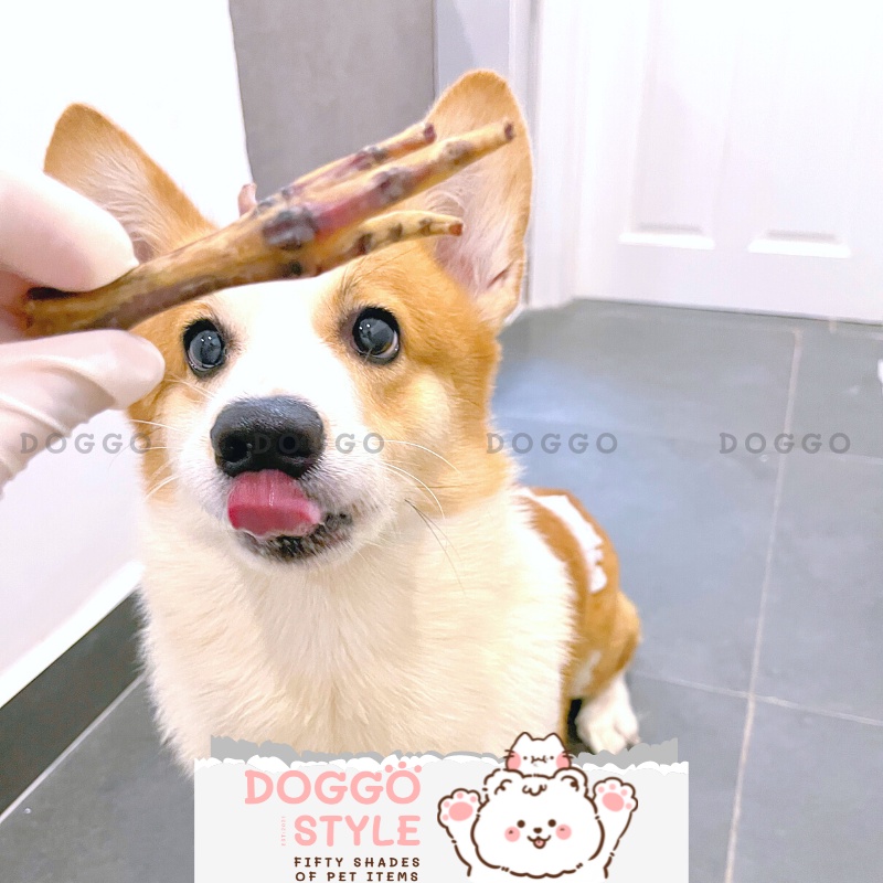 Treat Bánh Thưởng Cho Chó Chân Gà Sấy Khô DOGGO Homemade Không Chất Bảo Quản 100G Thức Ăn Cho Chó Thú Cưng