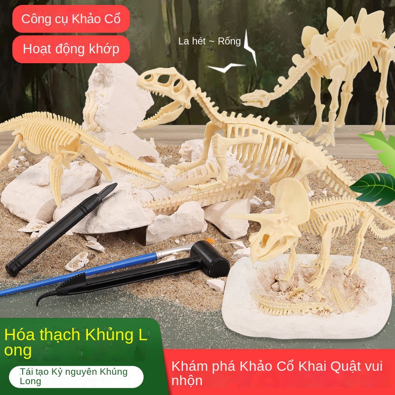 ✟㍿◄Hóa thạch khủng long Tyrannosaurus mô hình bộ xương handmade Tự làm làm cho cậu bé đào đá quý Đồ chơi khai quật khảo