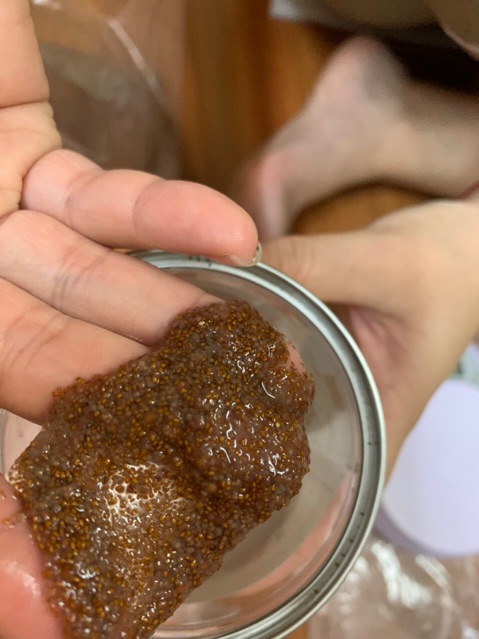 ngũ hoa hạt, hạt đình lịch, ngăn ngừa mụn gói 100gr | BigBuy360 - bigbuy360.vn