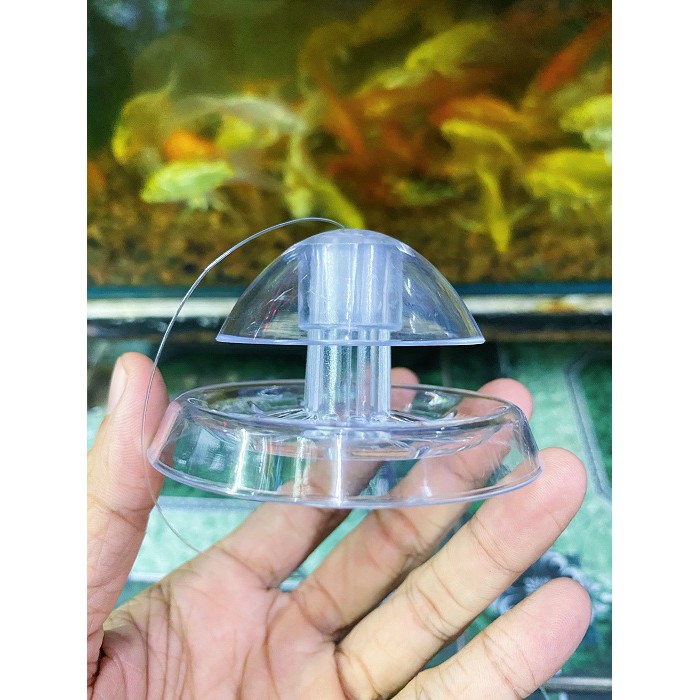 BẪY ỐC SÊN HỒ CÁ BẰNG NHỰA HỒ CÁ ĐƯỜNG KÍNH 6CM